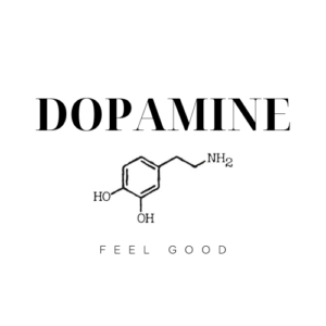 What is Dopamine? How a Dopamine Deficiency Affects Brain Function and How to Increase Your Levels